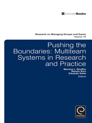 cover image of Research on Managing Groups and Teams, Volume 16